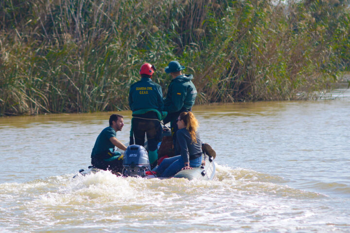 Efectius de rescat a l'Albufera de València, en una imatge dels primers dies de recerca (fotografia: Prats i Camps).