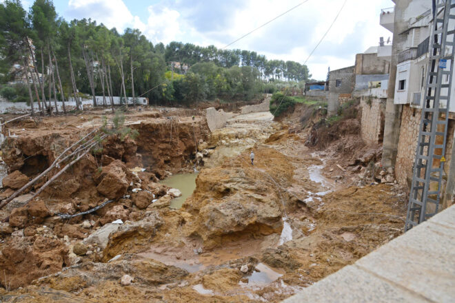 La jutgessa de Catarroja cita com a testimonis trenta-nou agents mediambientals i bombers forestals