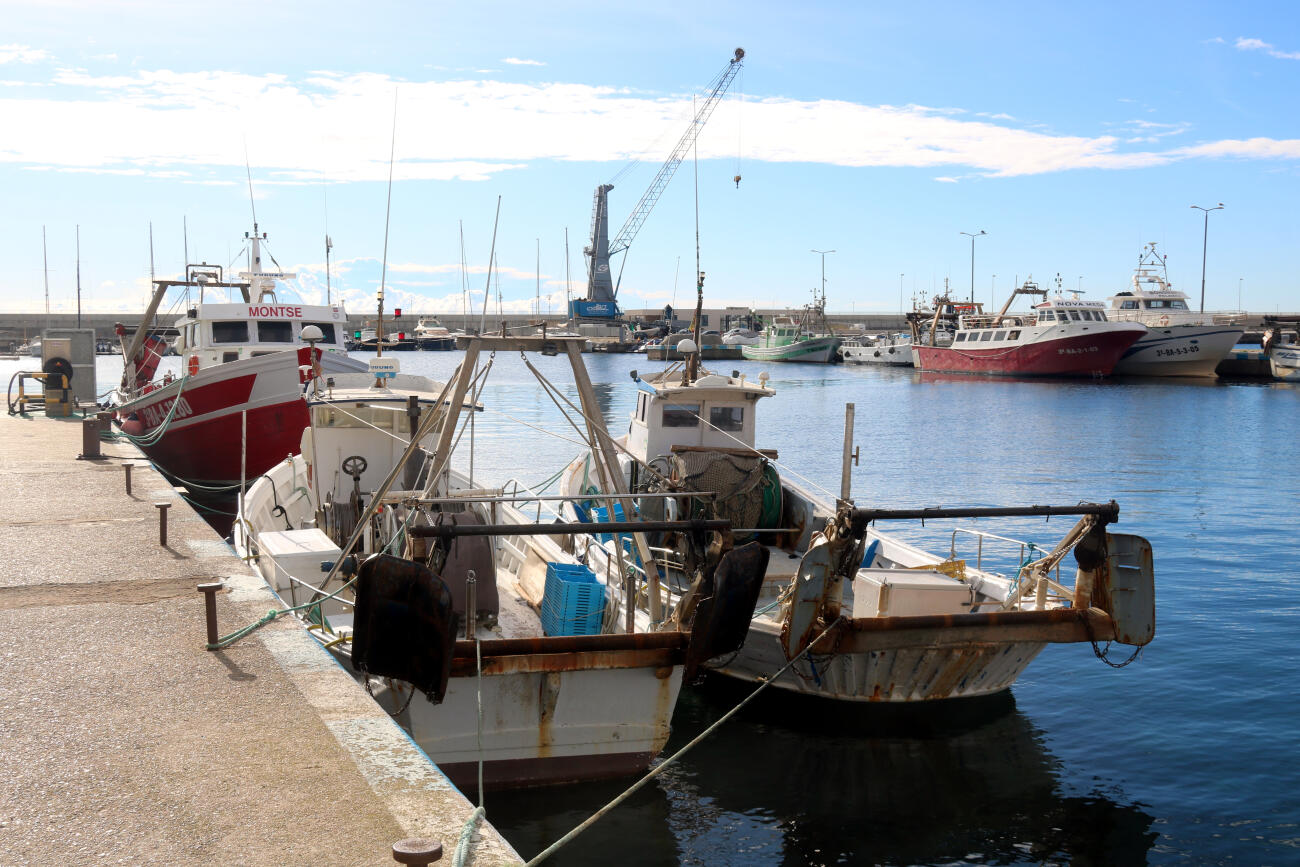 Fotografia d'arxiu del port de Palamós.