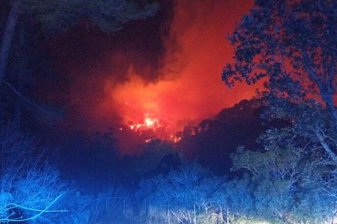 Un incendi forestal descontrolat crema a Andratx d’ençà de la matinada