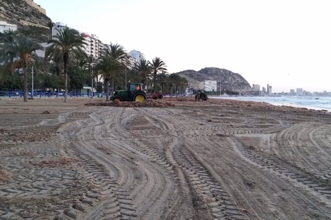 Arriba a la platja del Postiguet una barcassa amb una dona embarassada