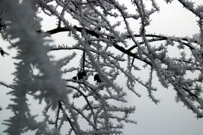 Les baixes temperatures es mantindran aquesta setmana, però ja no nevarà a cotes baixes