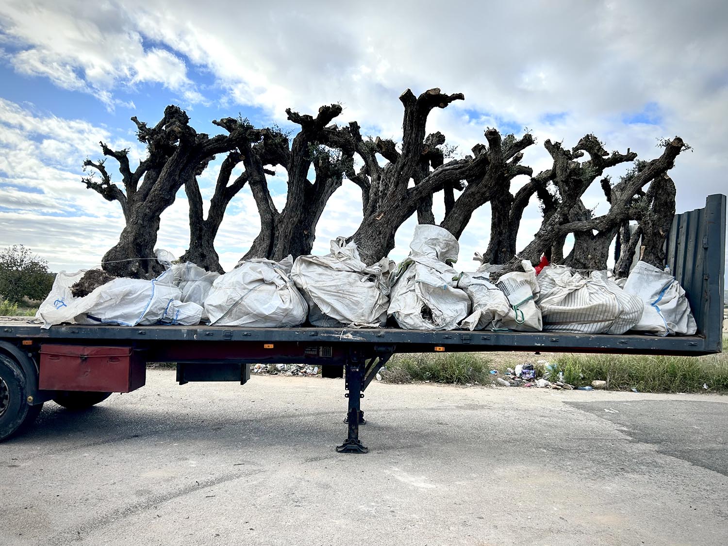 Fotografia: Jean-Marie del Moral.