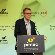 Les perspectives duals de les pimes catalanes