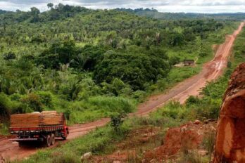 “Quan jo era petit, pensava en la Transamazònica com ‘la carretera del meu pare’”, escriu Bortoluci.