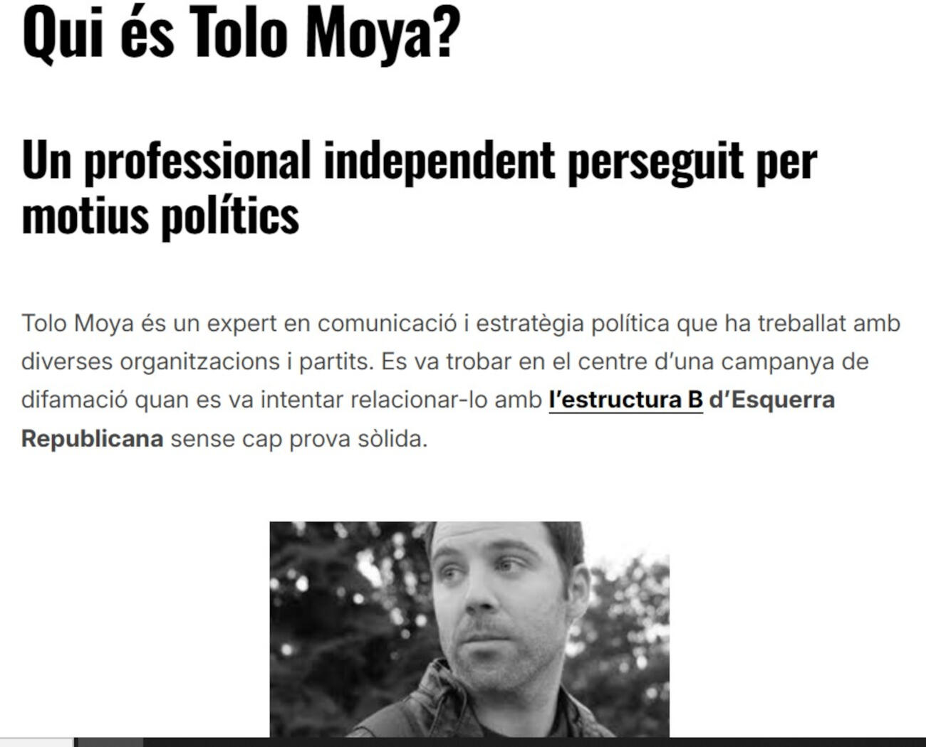 Una captura de pantalla del web sobre els cartells dels Maragall creat per Tolo Moya (Fotografia: ACN)