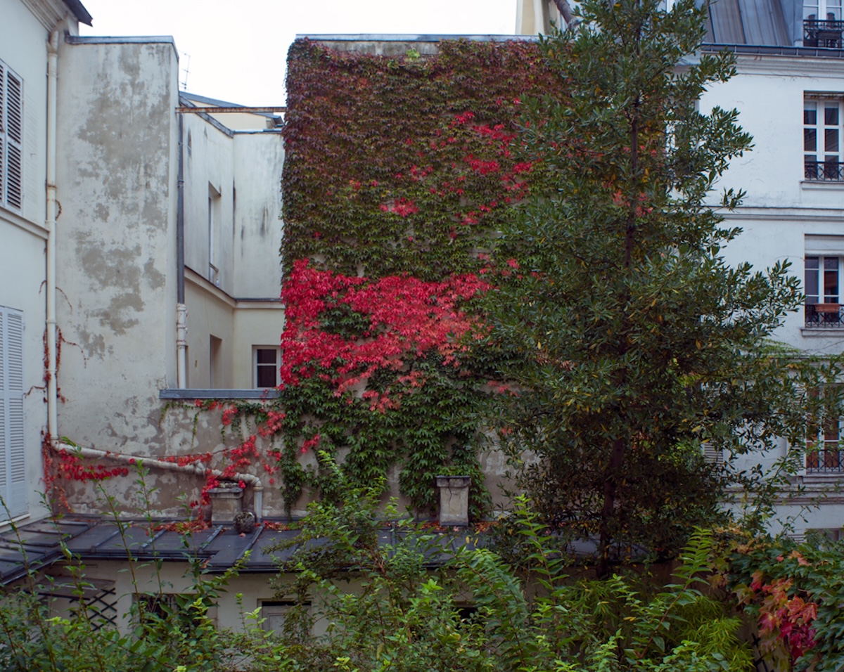 Fotografia: Jean-Marie del Moral