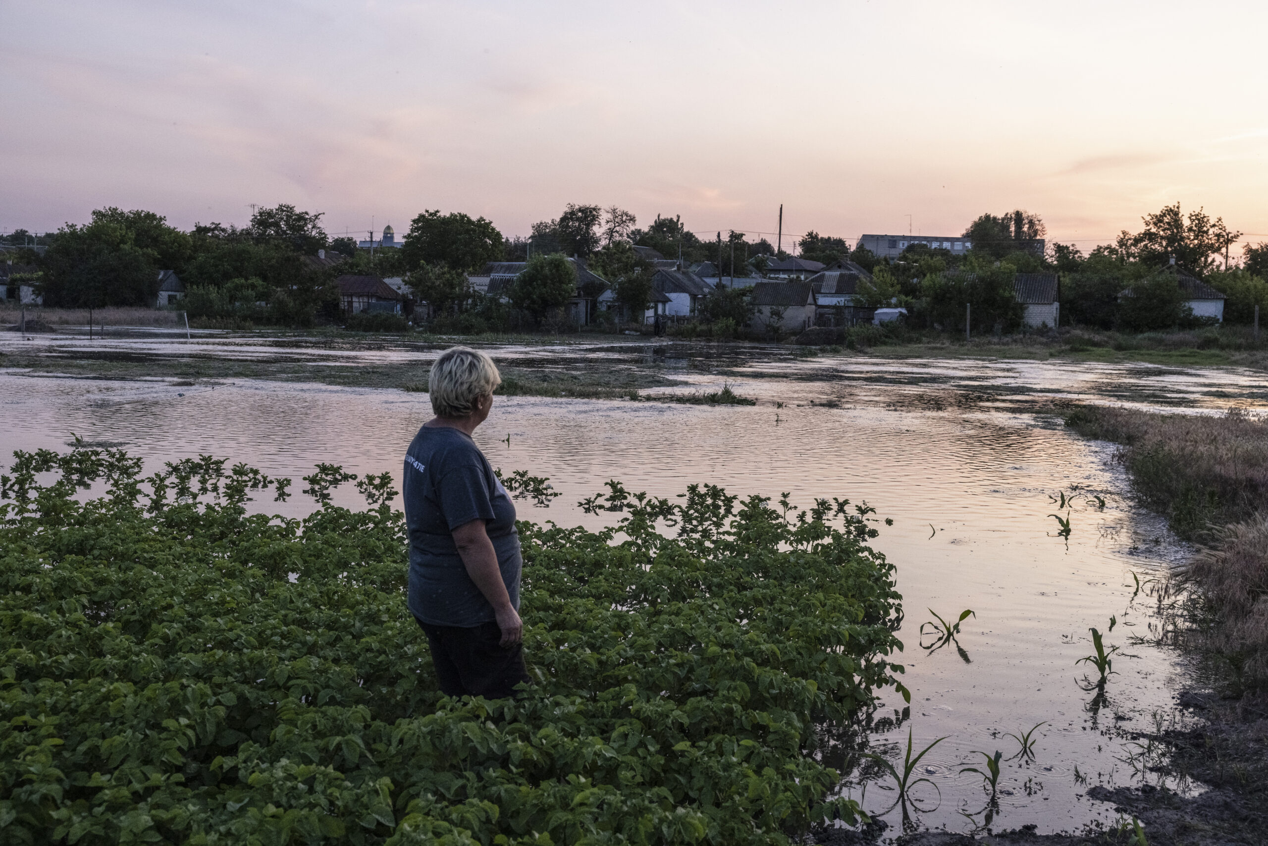 Una pagesa ucraïnesa travessa un camp de patates, inundat a causa de la destrucció de la presa de Kakhovka, el juny del 2023, pocs dies després de l'incident (fotografia: Heidi Levine/The Washington Post).