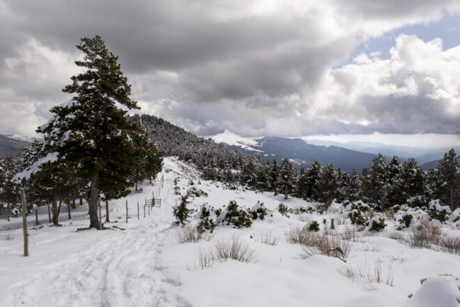 El temporal de pluja i neu es reactiva: algunes localitats superen els cent litres acumulats