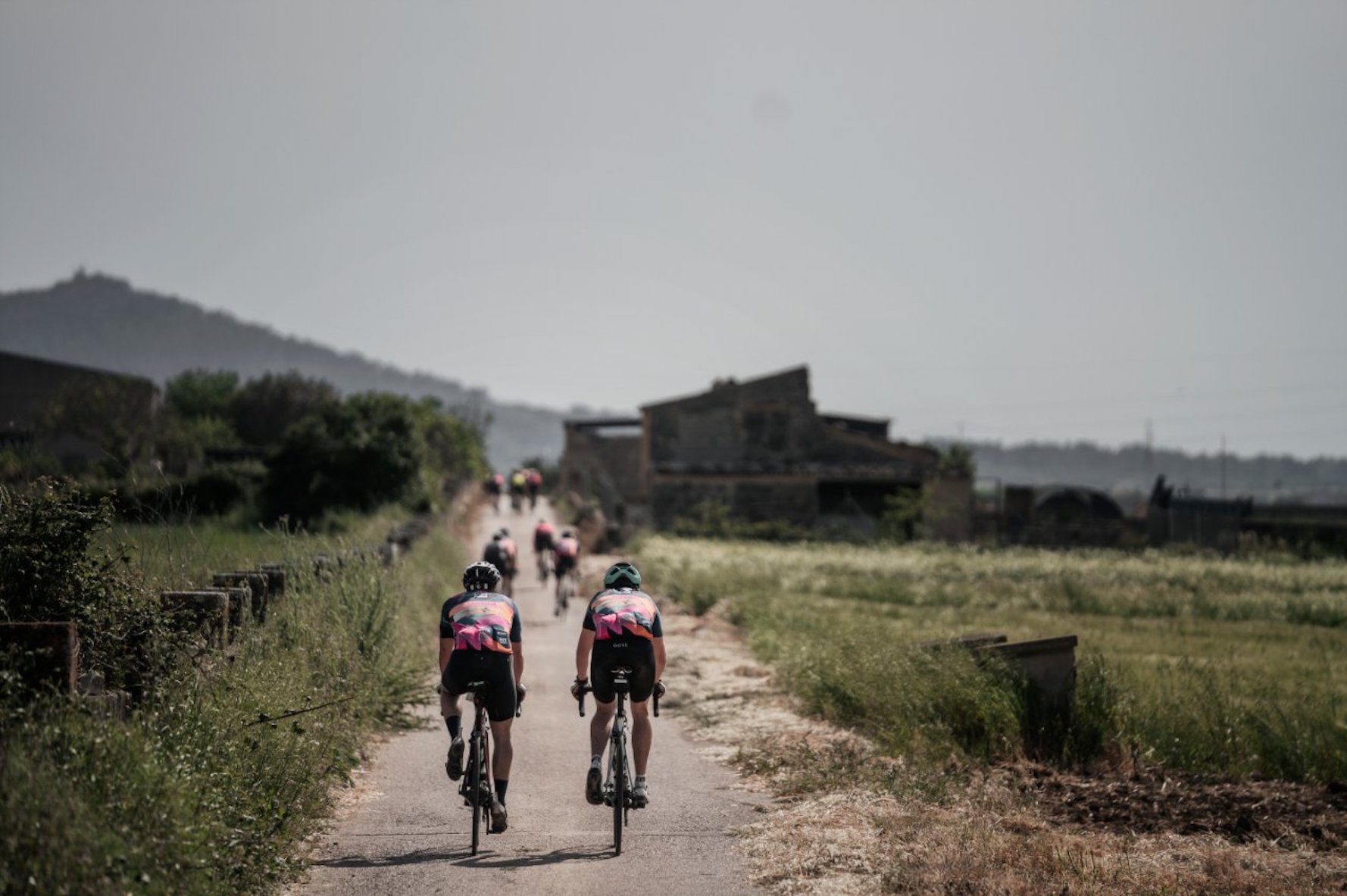 Imatge d'arxiu d'una Mallorca 312 (fotografia: Mallorca 312).