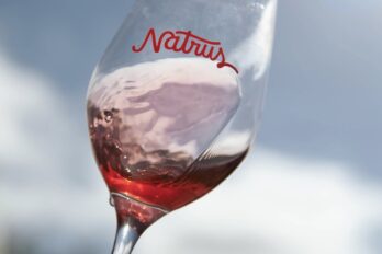 Natrus, fira de vins naturals impulsada per Oriol Artigas.