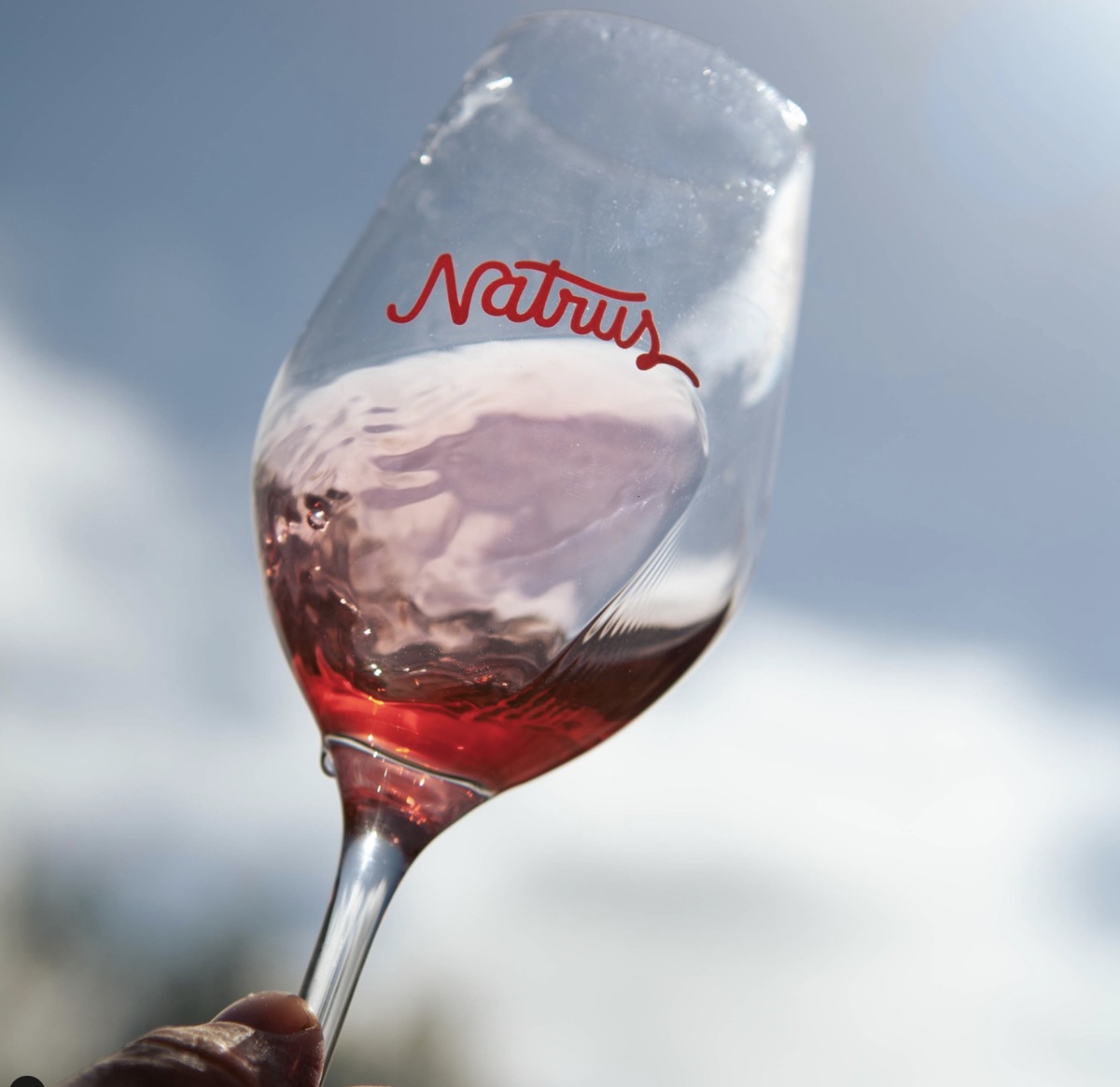 Natrus, fira de vins naturals impulsada per Oriol Artigas.