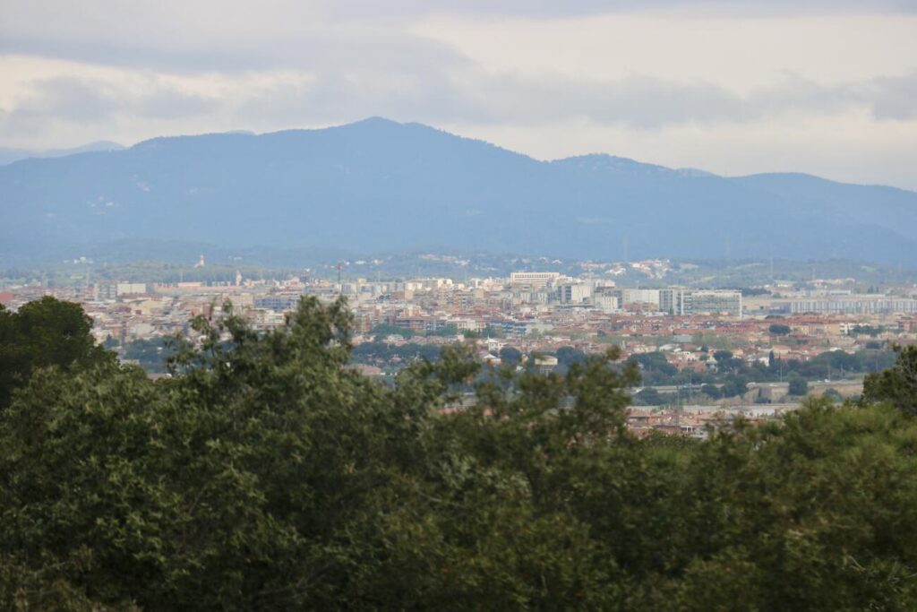 Collserola
