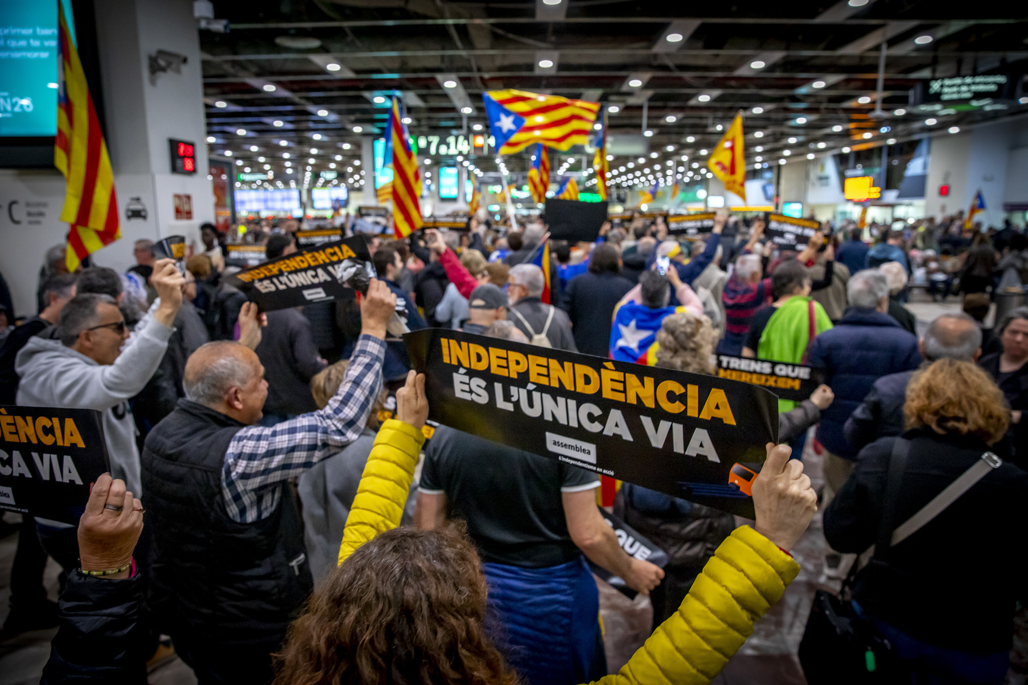 Fotografia: Albert Salamé.