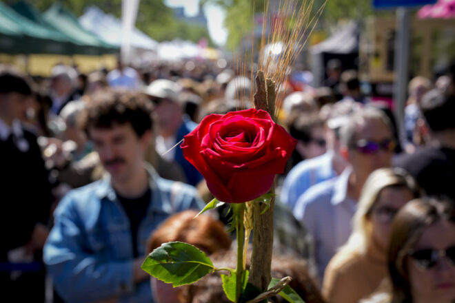 Il·lusió i expectació per un Sant Jordi amb els paradistes de la Rambla recol·locats