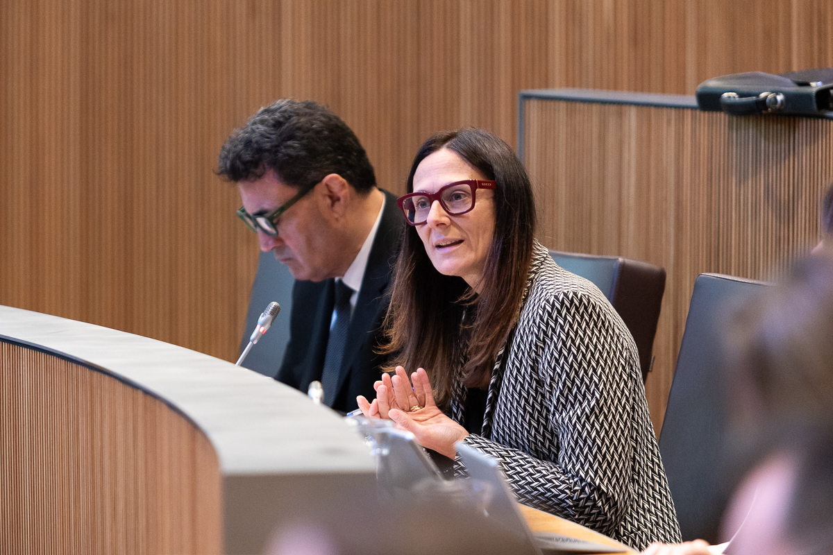 Ester Molné, ministra de Justícia d'Andorra, durant el ple d'avui (fotografia: Consell General d'Andorra).
