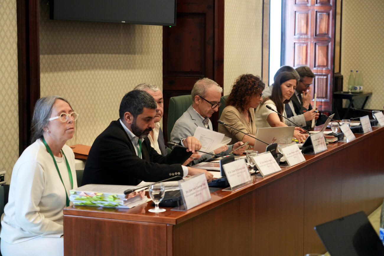 L'ex-cúpula de Drets Socials i de la DGAIA, en la comissió de Drets Socials (fotografia: ACN / Nazaret Romero).