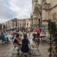 Vins de primavera a la Taverna del VINSEUM