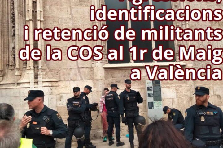 Imatge del comunicat conjunt de la COS i Alerta Solidària