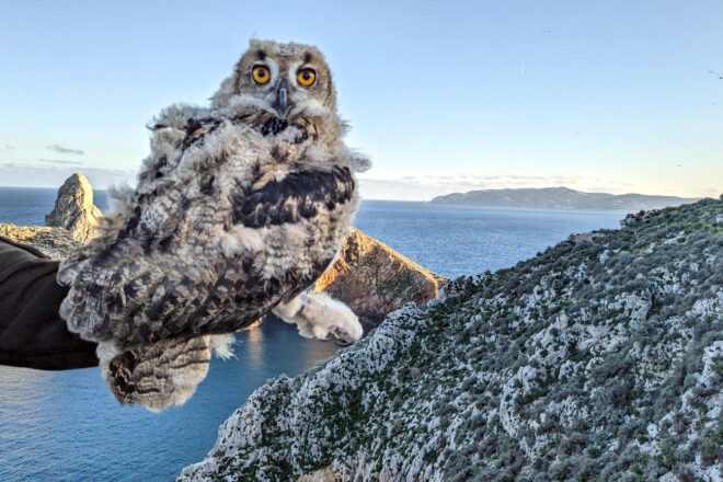El cas excepcional del duc de les illes Medes