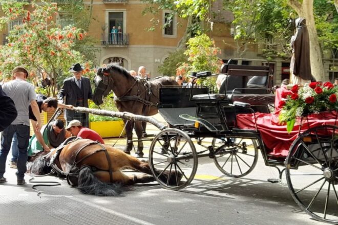 S’ha mort un cavall durant la cavalcada del bicentenari d’Els Tres Tombs a Barcelona