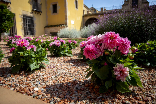 Les flors del món literari de Rodoreda