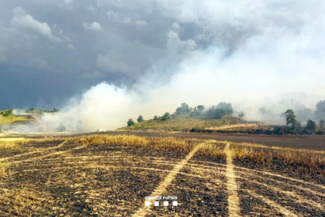 Un incendi forestal declarat a la Noguera obliga a tallar dues carreteres i a confinar Plandogau