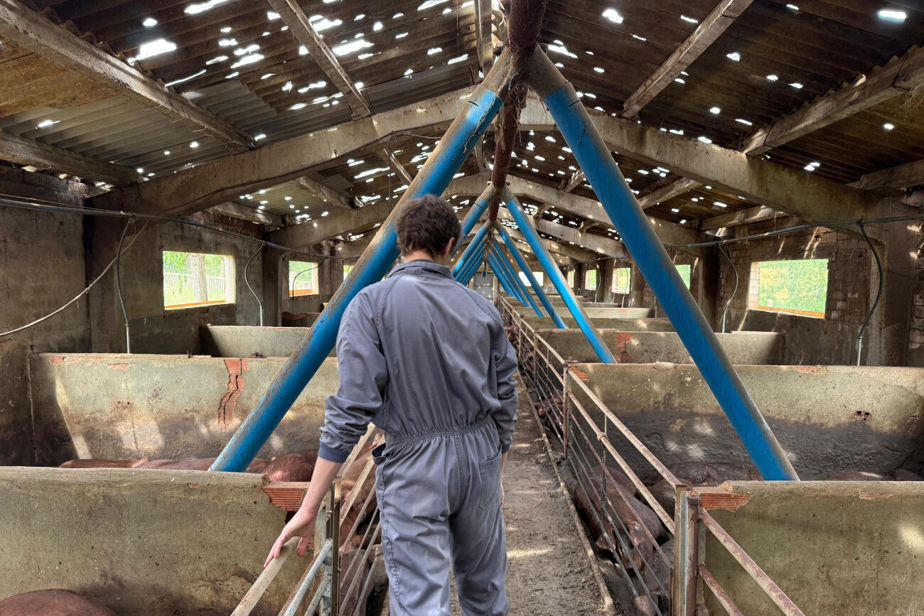 Un pagès de Santa Pau a la seva explotació amb la teulada foradada (fotografia: ACN / Gerard Vilà).