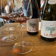Coll del Guix, vins per a preservar el patrimoni vinícola