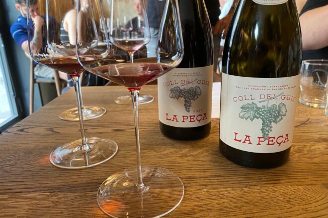 Coll del Guix, vins per a preservar el patrimoni vinícola