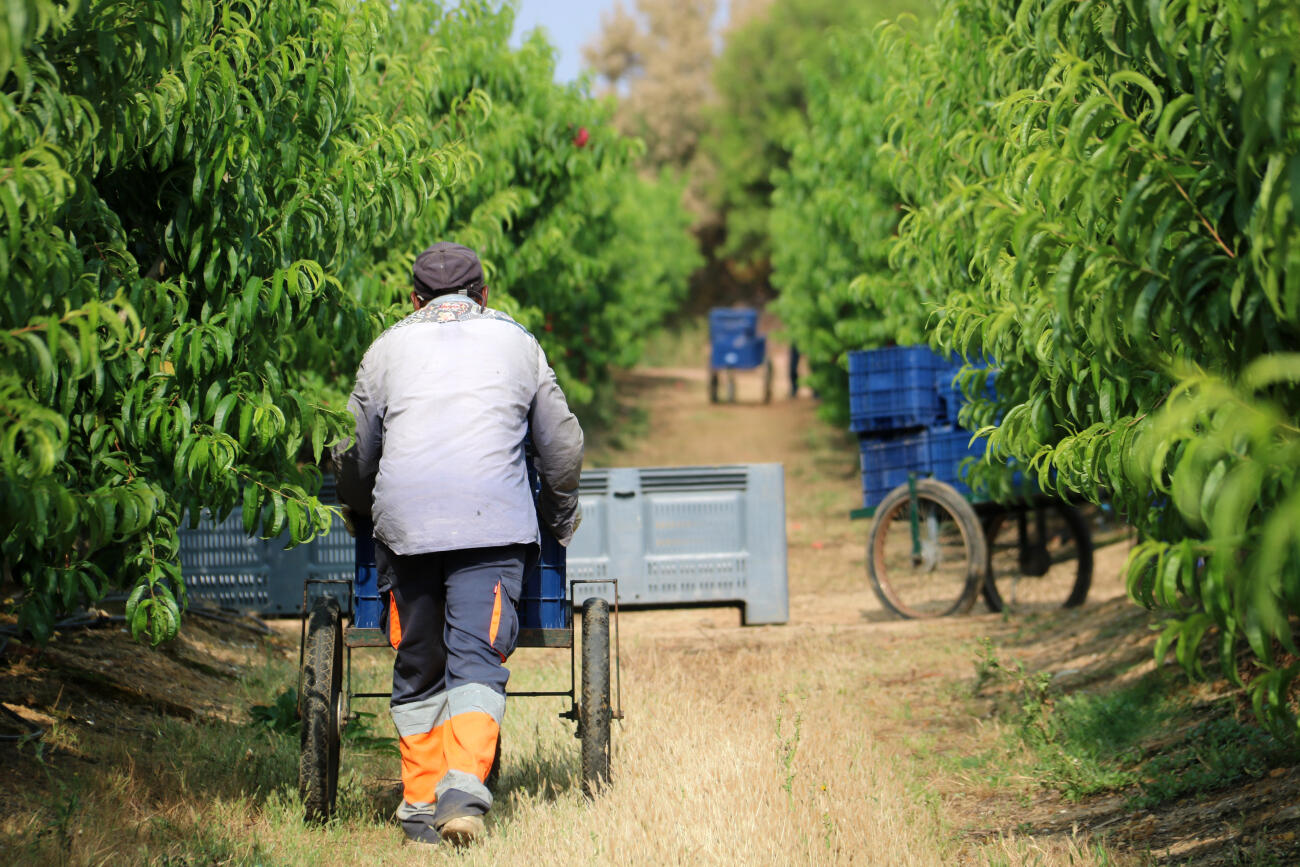 Imatge d'arxiu d'uns temporers