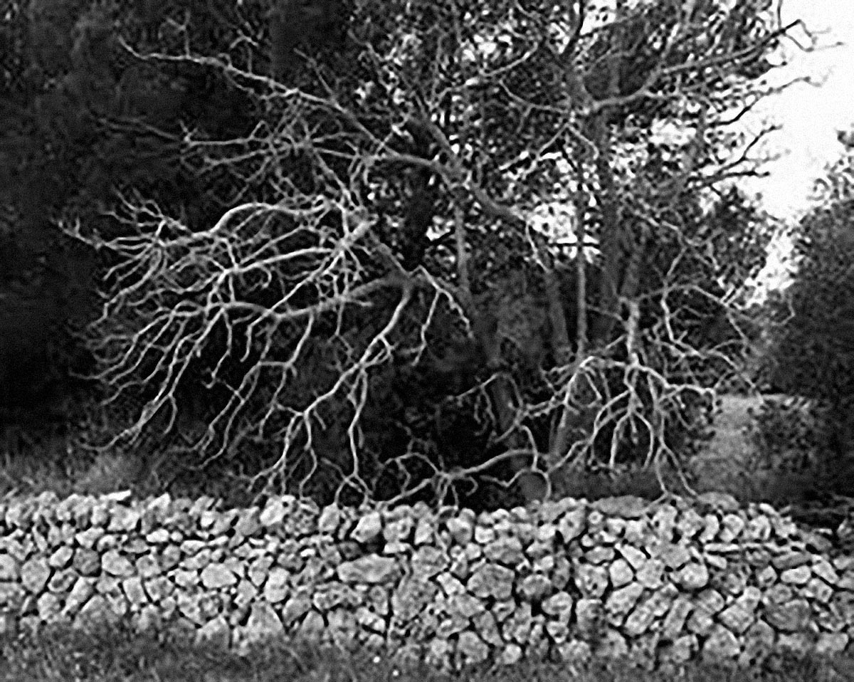 Fotografia: Jean-Marie del Moral.