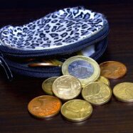 Com tenim la butxaca per a l’estiu?