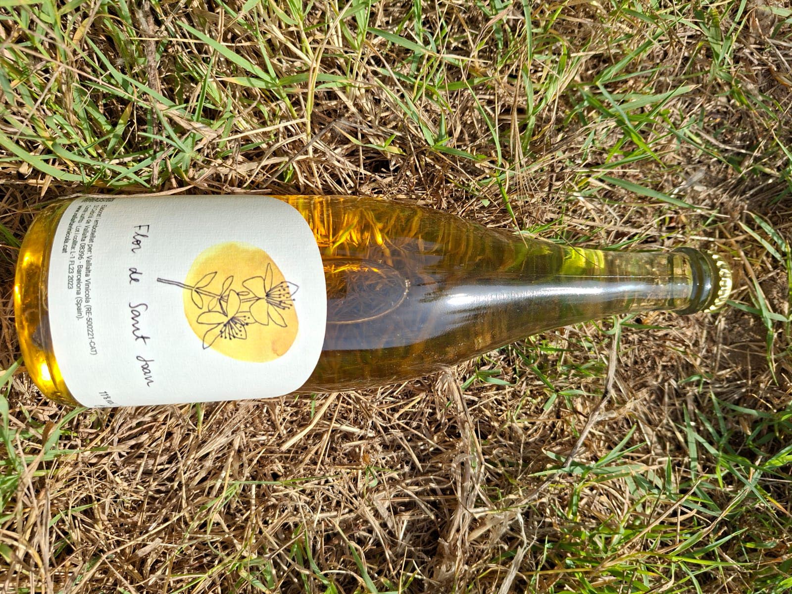 Flor de Sant Joan