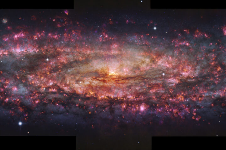 La galàxia del Taller, en una imatge amb mil colors que destaca les zones de formació estel·lar en rosa sobre un mapa d’estrelles ja formades. Fotografia: ESO / E. Congiu et al.