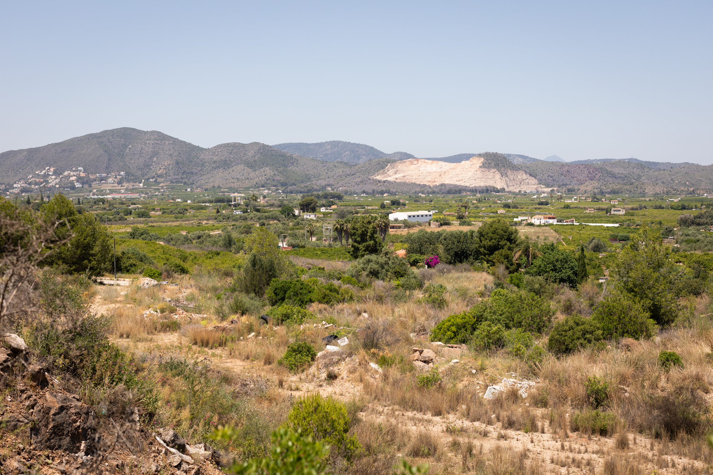 Terrenys del PAI Pego-Golf. Fotografia: Laura Escartí.