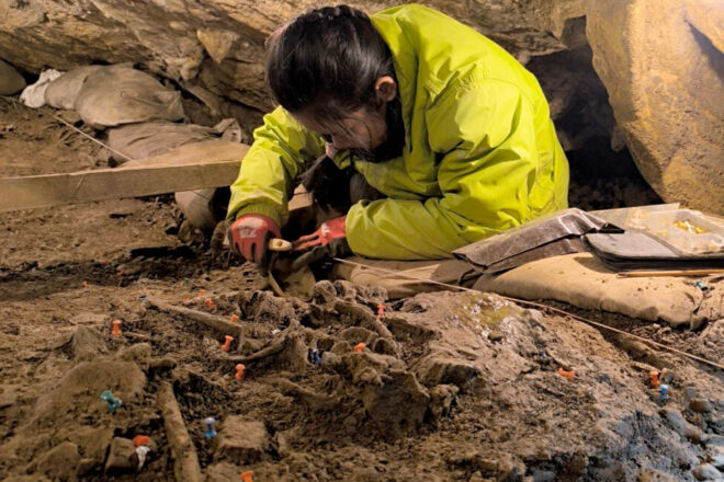 Troballa excepcional al Ripollès: descobreixen una fletxa incrustada en una costella humana de fa més de 4.000 anys en un jaciment
