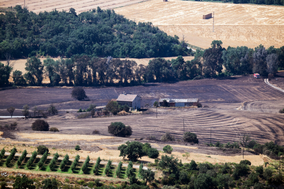 Incendi de Torrefeta