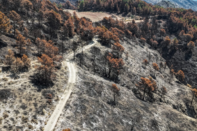 Demà hi haurà risc extrem d’incendi a les Terres de l’Ebre per l’entrada del vent de mestral