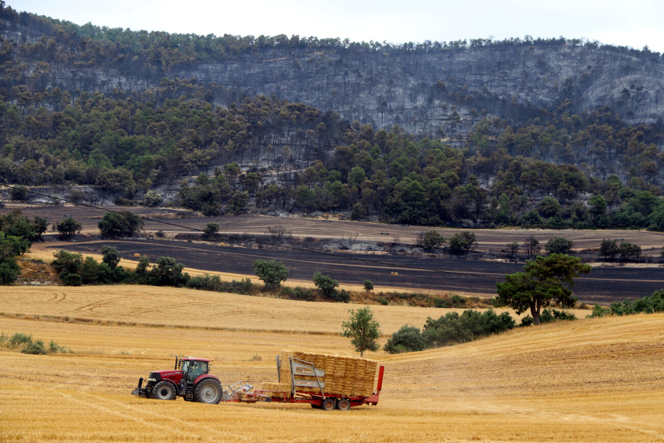 Un tractor en un camp de blat i, al fons, terreny cremat.