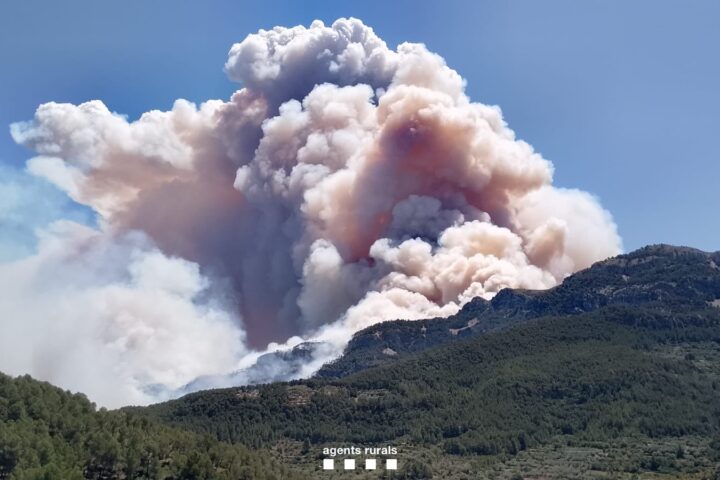 Nou gran incendi