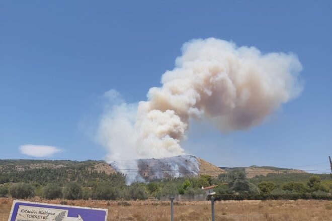 Un incendi forestal a Ibi entra al parc natural de la Font Roja i obliga a desallotjar alguns veïns d’Alcoi