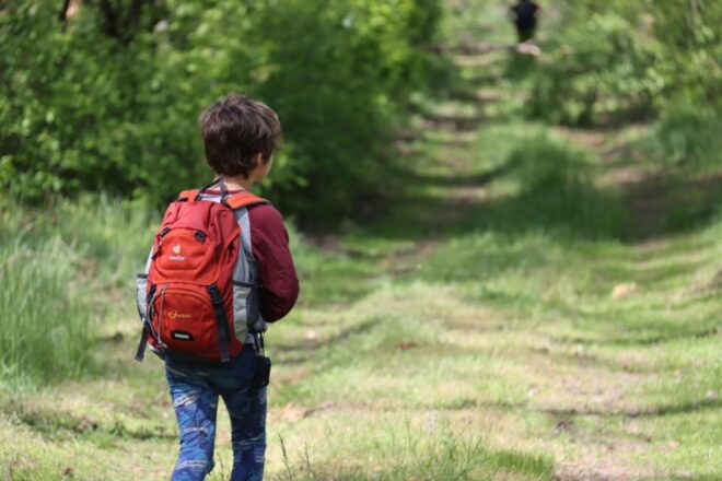 Els probiòtics podrien ajudar a reduir la hiperactivitat i impulsivitat en infants amb autisme o TDAH