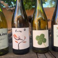 Vins curiosos i bons en temps de vacances