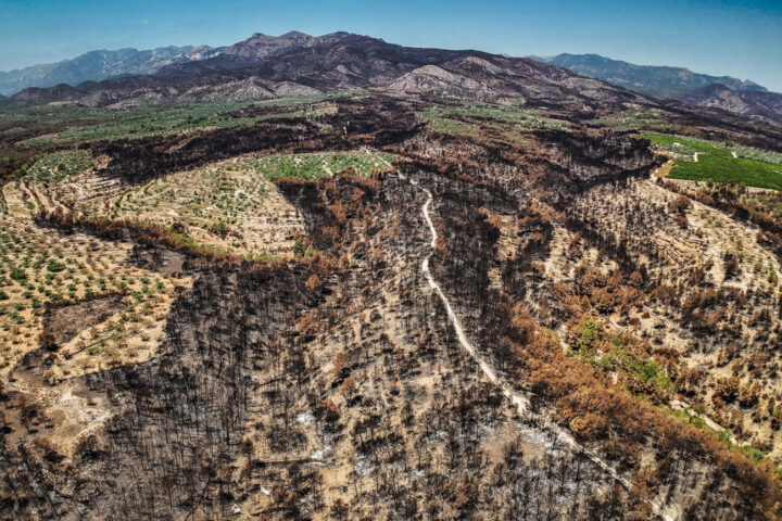 Zona cremada pel foc de Paüls.
