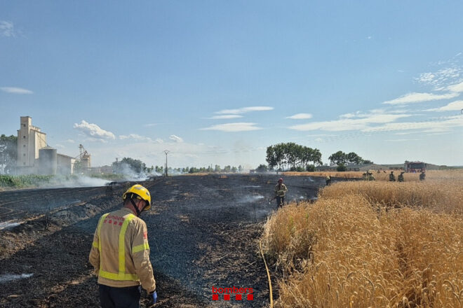 Detingut un jove de Vilanova de Bellpuig que havia causat tres incendis agrícoles