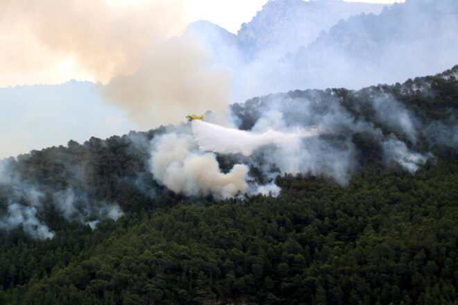 El govern admet que el parc natural dels Ports no té cap pla de prevenció d’incendis