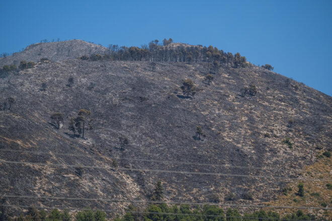Ja no hi ha flames a l’incendi d’Ibi, però es tem un possible rebrot per la calor i el vent