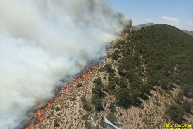 L’incendi forestal de Villena, estabilitzat