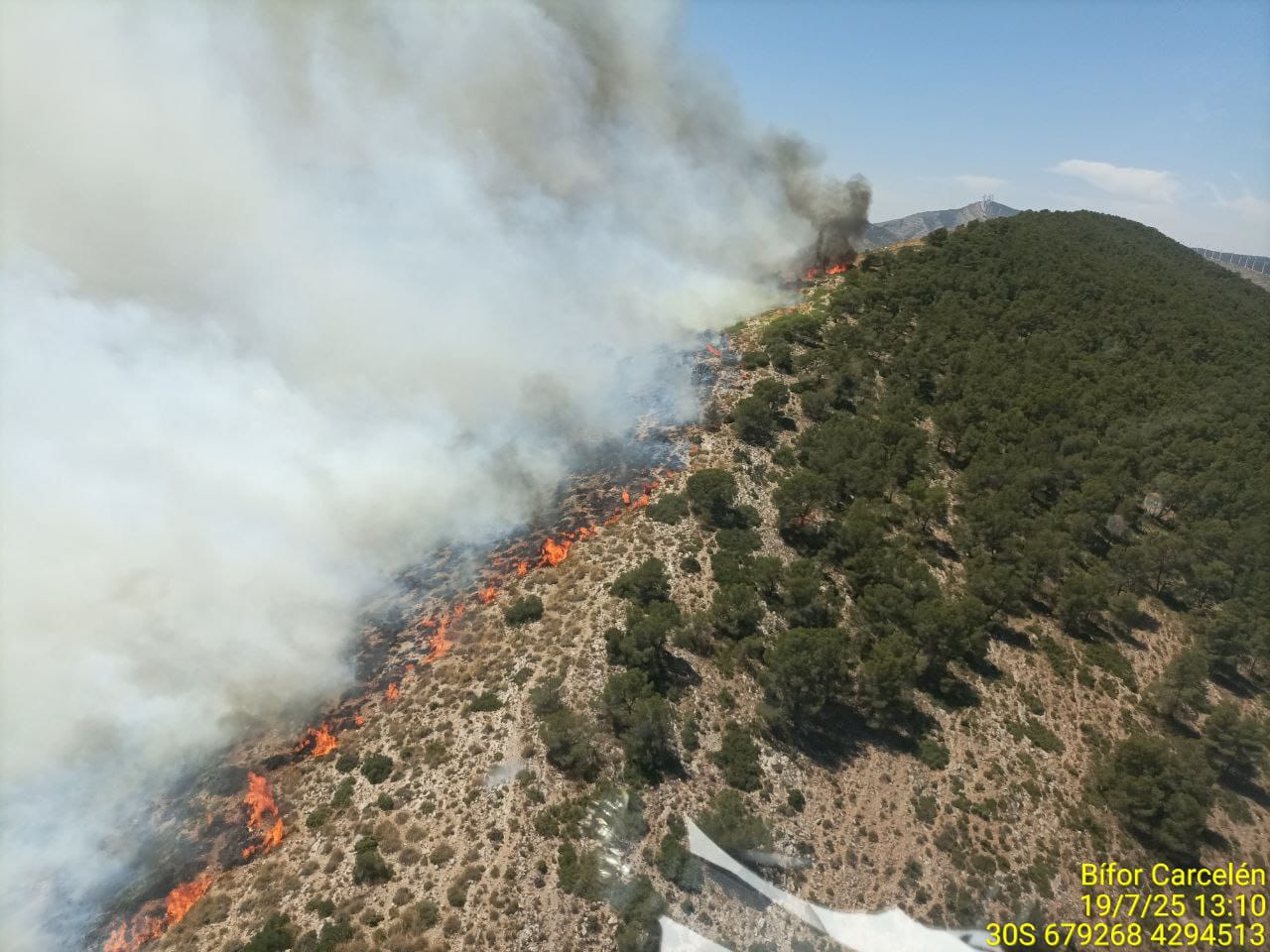 L'incendi forestal de Villena, estabilitzat